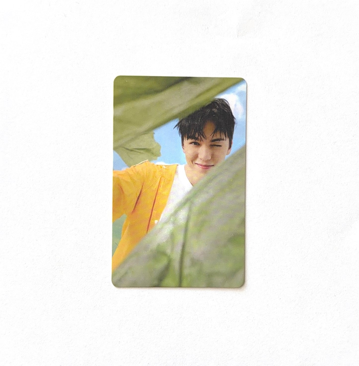 Vernon (SEVENTEEN) - Seventeenth Heaven 11th Mini Album - Photocard (Ver. U-X)