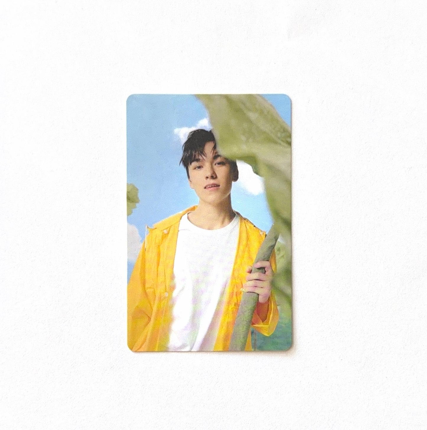 Vernon (SEVENTEEN) - Seventeenth Heaven 11th Mini Album - Photocard (Ver. K-O)