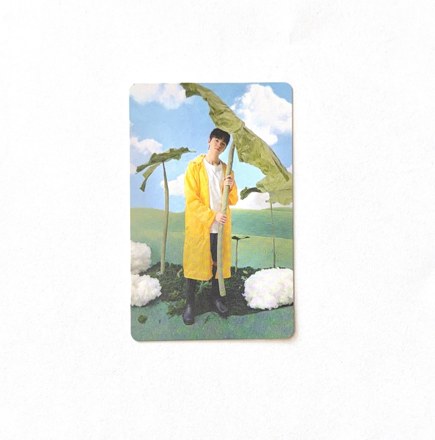 Vernon (SEVENTEEN) - Seventeenth Heaven 11th Mini Album - Photocard (Ver. P-T)