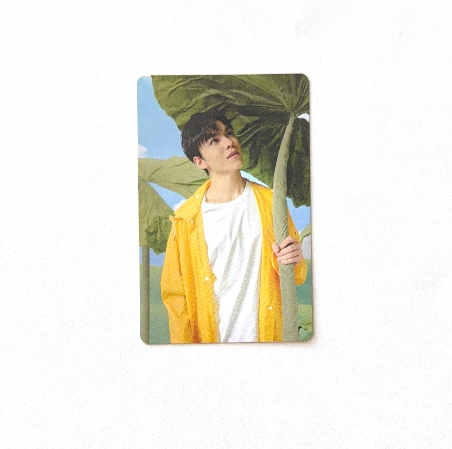 Vernon (SEVENTEEN) - Seventeenth Heaven 11th Mini Album - Photocard (Ver. P-T)